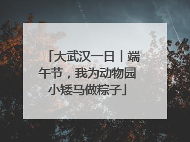 大武汉一日丨端午节，我为动物园小矮马做粽子
