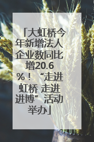 大虹桥今年新增法人企业数同比增20.6%！“走进虹桥 走进进博”活动举办