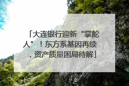 大连银行迎新“掌舵人”！东方系基因再续，资产质量困局待解