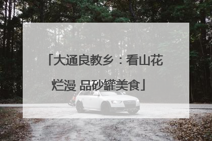大通良教乡：看山花烂漫 品砂罐美食