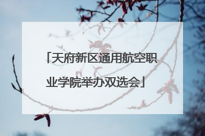 天府新区通用航空职业学院举办双选会