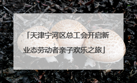 天津宁河区总工会开启新业态劳动者亲子欢乐之旅