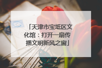 天津市宝坻区文化馆：打开一扇传播文明新风之窗