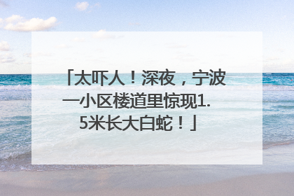太吓人！深夜，宁波一小区楼道里惊现1.5米长大白蛇！