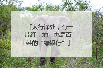 太行深处，有一片红土地，也是百姓的“绿银行”