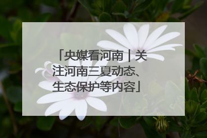 央媒看河南｜关注河南三夏动态、生态保护等内容