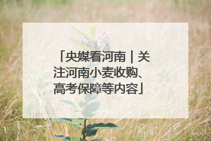 央媒看河南｜关注河南小麦收购、高考保障等内容