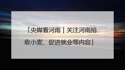 央媒看河南｜关注河南抢收小麦、促进就业等内容
