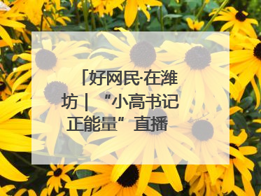 好网民·在潍坊｜“小高书记正能量”直播 带动群众致富