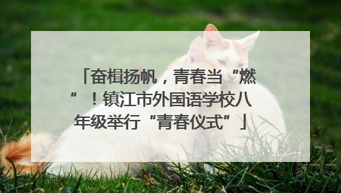 奋楫扬帆，青春当“燃”！镇江市外国语学校八年级举行“青春仪式”