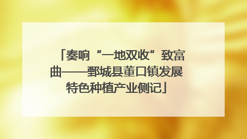 奏响“一地双收”致富曲——鄄城县董口镇发展特色种植产业侧记