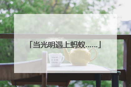 当光明遇上蚂蚁……