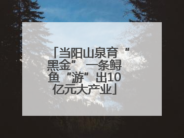 当阳山泉育“黑金” 一条鲟鱼“游”出10亿元大产业