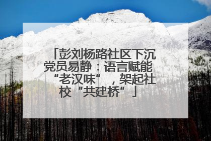彭刘杨路社区下沉党员易静：语言赋能“老汉味”，架起社校“共建桥”