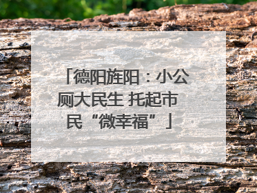 德阳旌阳：小公厕大民生 托起市民“微幸福”