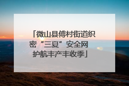 微山县傅村街道织密“三夏”安全网 护航丰产丰收季