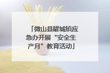微山县驩城镇应急办开展“安全生产月”教育活动