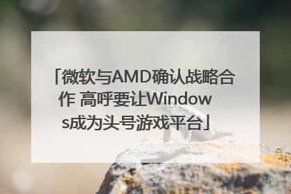 微软与AMD确认战略合作 高呼要让Windows成为头号游戏平台