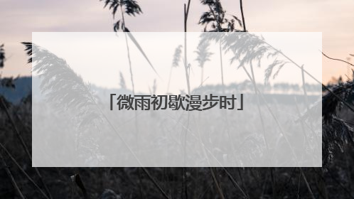微雨初歇漫步时