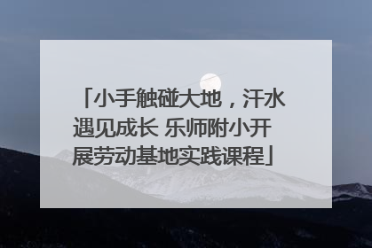 小手触碰大地，汗水遇见成长 乐师附小开展劳动基地实践课程