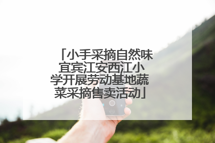 小手采摘自然味 宜宾江安西江小学开展劳动基地蔬菜采摘售卖活动