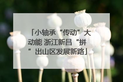 小轴承“传动”大动能 浙江新昌“拼”出山区发展新路