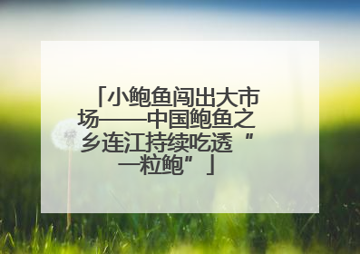 小鲍鱼闯出大市场——中国鲍鱼之乡连江持续吃透“一粒鲍”
