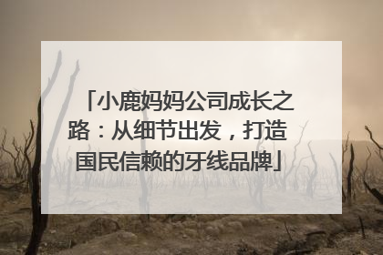 小鹿妈妈公司成长之路：从细节出发，打造国民信赖的牙线品牌