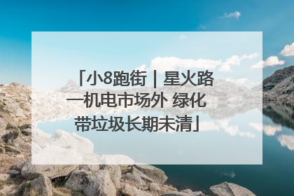 小8跑街｜星火路一机电市场外 绿化带垃圾长期未清