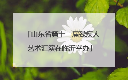 山东省第十一届残疾人艺术汇演在临沂举办