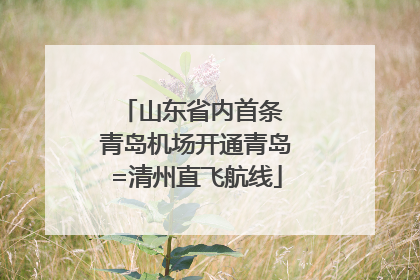 山东省内首条 青岛机场开通青岛=清州直飞航线