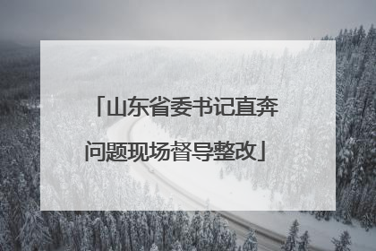 山东省委书记直奔问题现场督导整改