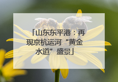 山东东平港：再现京杭运河“黄金水道”盛景