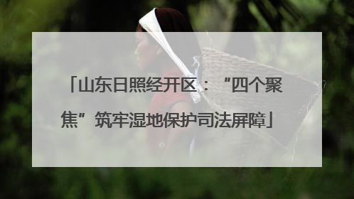 山东日照经开区：“四个聚焦”筑牢湿地保护司法屏障