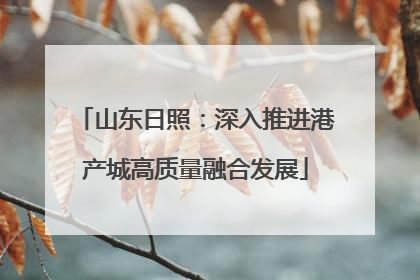 山东日照：深入推进港产城高质量融合发展