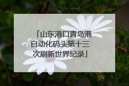 山东港口青岛港自动化码头第十三次刷新世界纪录