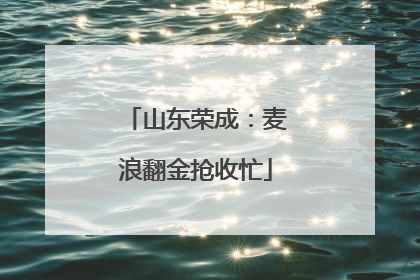 山东荣成：麦浪翻金抢收忙