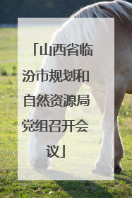 山西省临汾市规划和自然资源局党组召开会议