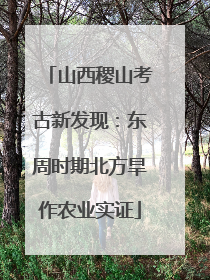 山西稷山考古新发现：东周时期北方旱作农业实证