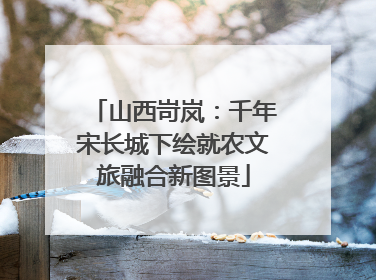 山西岢岚：千年宋长城下绘就农文旅融合新图景