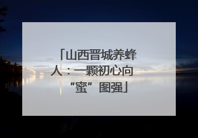 山西晋城养蜂人：一颗初心向“蜜”图强