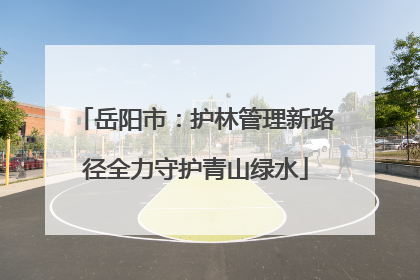 岳阳市：护林管理新路径全力守护青山绿水
