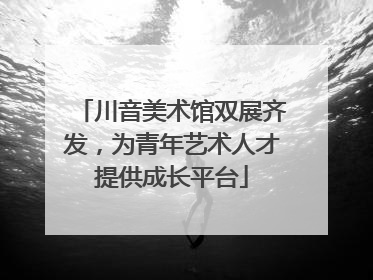 川音美术馆双展齐发，为青年艺术人才提供成长平台