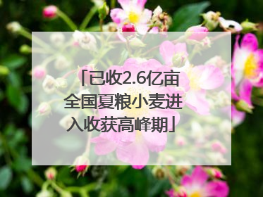 已收2.6亿亩 全国夏粮小麦进入收获高峰期