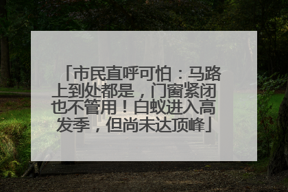 市民直呼可怕：马路上到处都是，门窗紧闭也不管用！白蚁进入高发季，但尚未达顶峰