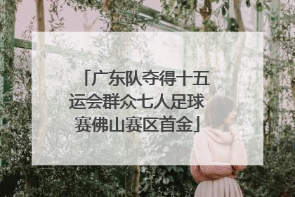 广东队夺得十五运会群众七人足球赛佛山赛区首金