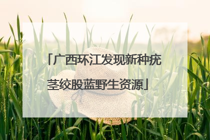 广西环江发现新种疣茎绞股蓝野生资源