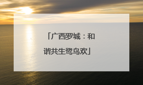 广西罗城：和谐共生鹭鸟欢