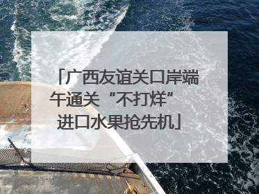 广西友谊关口岸端午通关“不打烊” 进口水果抢先机