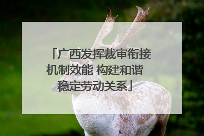 广西发挥裁审衔接机制效能 构建和谐稳定劳动关系
